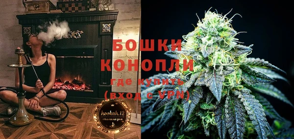шишки Коряжма