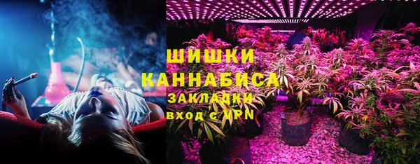 шишки Коряжма
