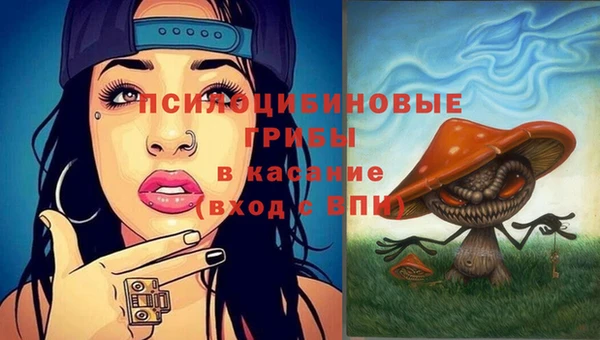 шишки Коряжма