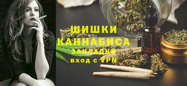 шишки Коряжма