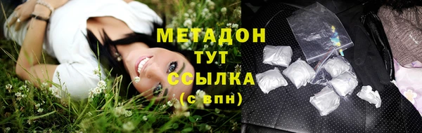 шишки Коряжма