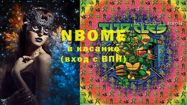 шишки Коряжма