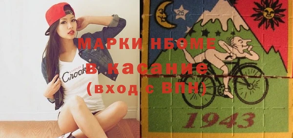 шишки Коряжма