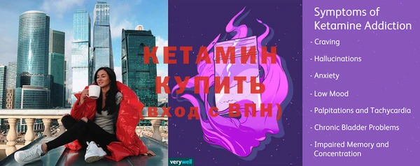 шишки Коряжма