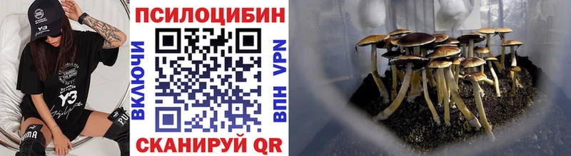 Псилоцибиновые грибы MAGIC MUSHROOMS  Купить закладки  Тимашёвск 